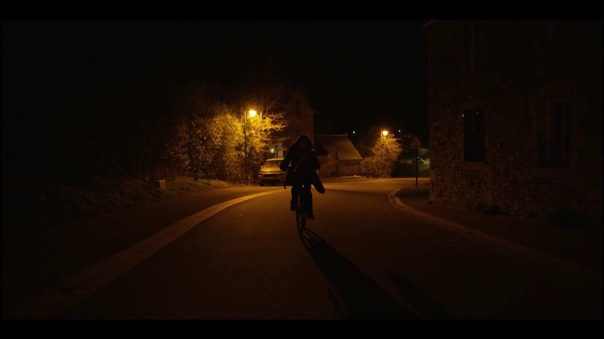 Forest - Image 3