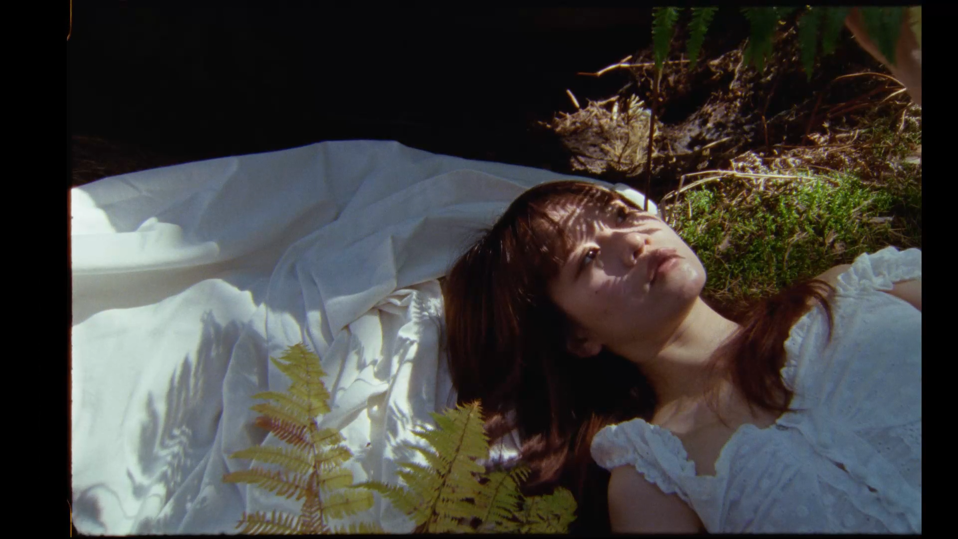 Forest - Image 2