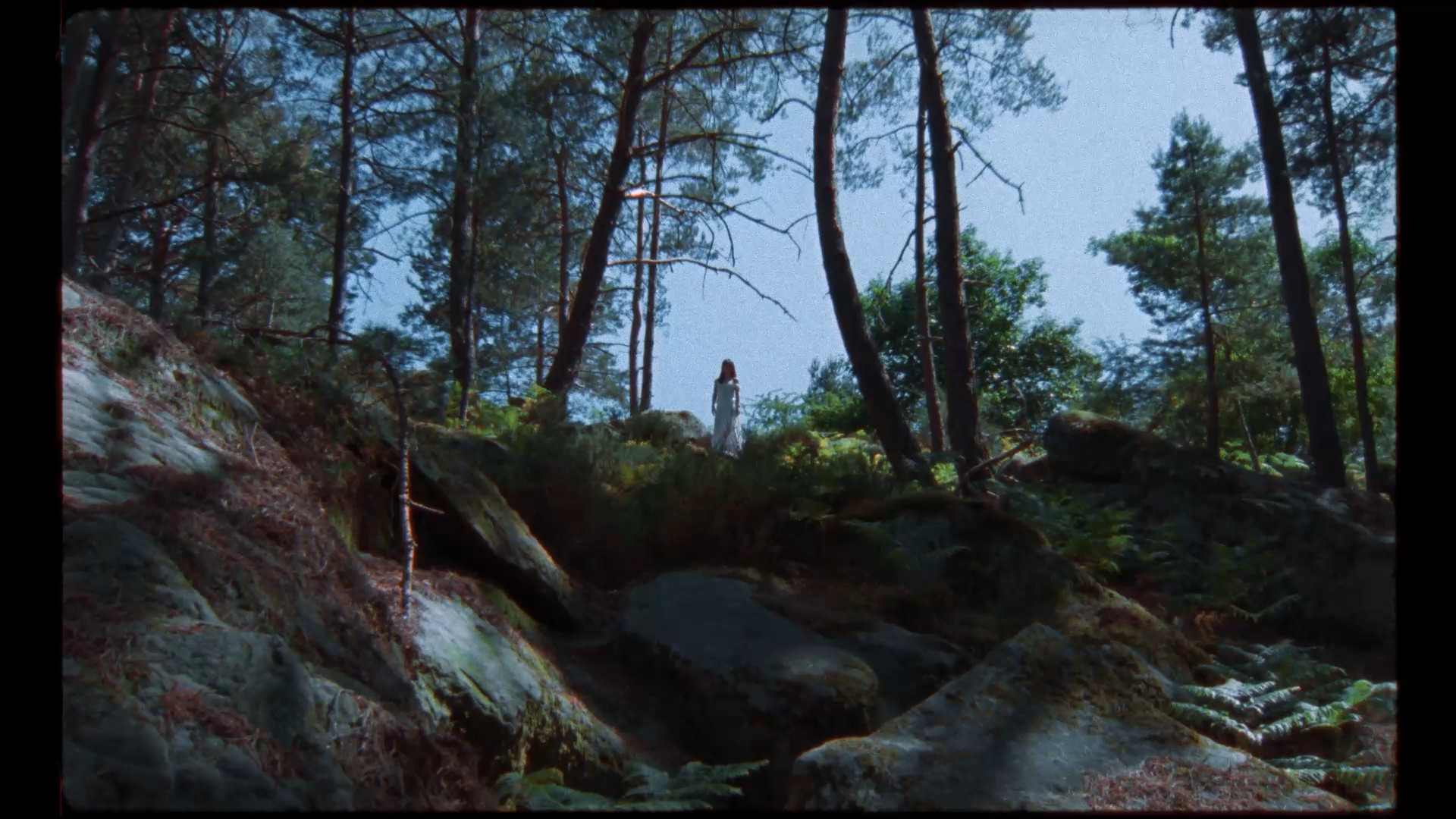 Forest